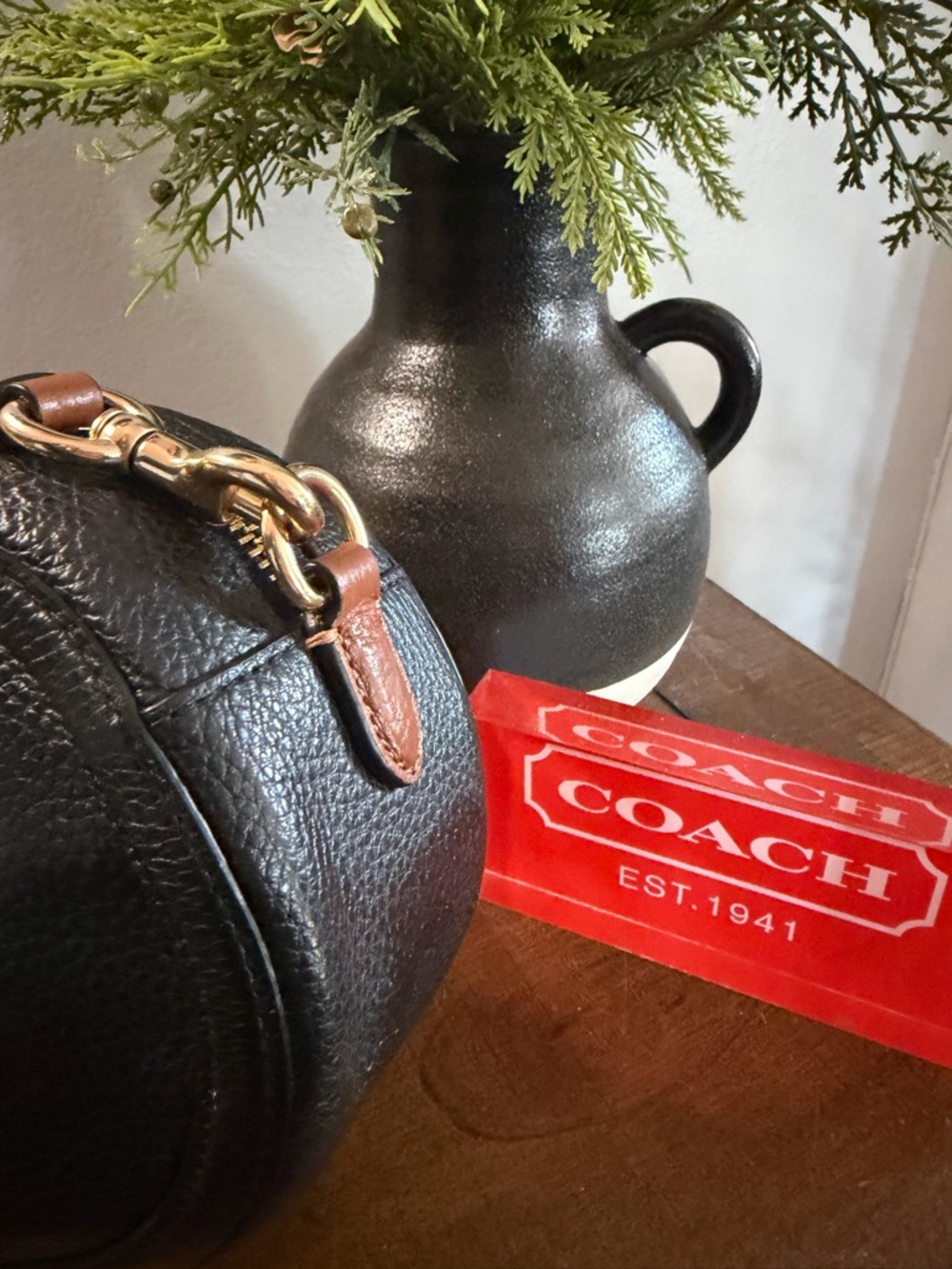 Coach Horse & Carriage Camera Bag - Picture 5 of 13
